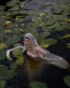 ayguldavlletova Altpins Profile Picture