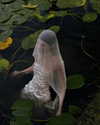 ayguldavlletova Altpins Profile Picture