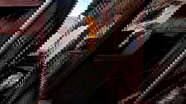 ayguldavlletova image ~ Altpins