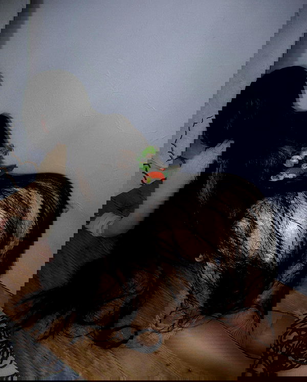 ayguldavlletova image ~ Altpins