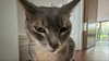 b6bybat Altpins Profile Picture