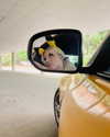 b6ylexx Altpins Profile Picture