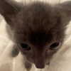 b6ylexx Altpins Profile Picture