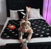 b6ylexx Altpins Profile Picture