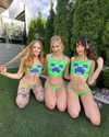 babebellalynnx Altpins Profile Picture