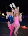babebellalynnx Altpins Profile Picture