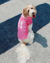bailey__rain Altpins Profile Picture