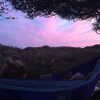 bailey_rain_campbell Altpins Profile Picture