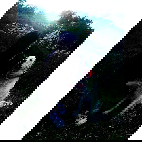 bakedsloths bakedsloths archive image