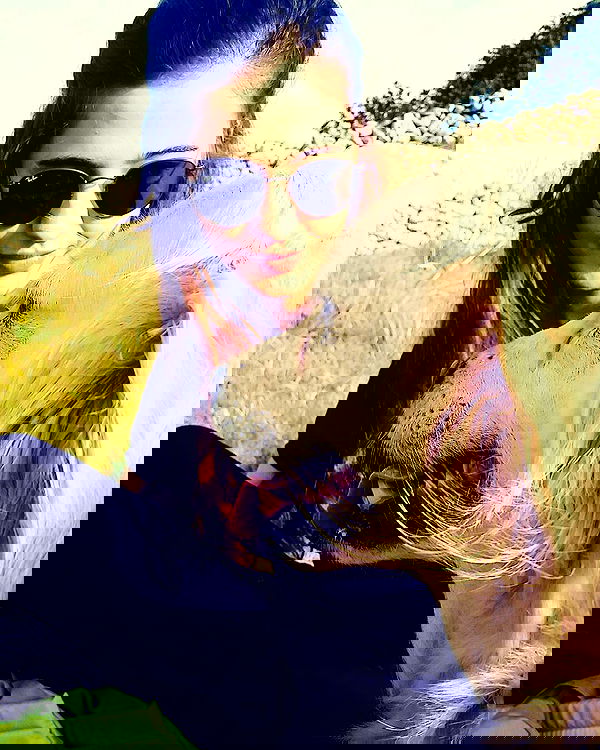 bakedsloths bakedsloths archive image