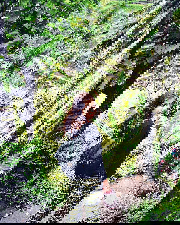 bakedsloths bakedsloths archive image