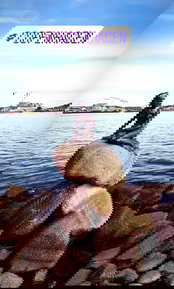 bakedsloths bakedsloths archive image