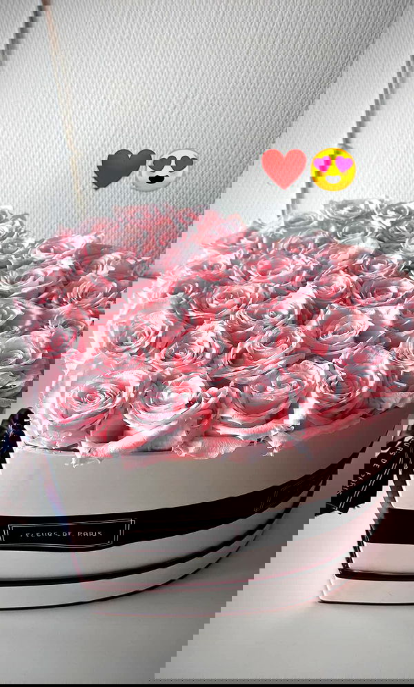 bakedsloths bakedsloths archive image