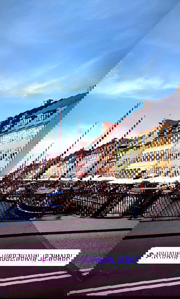 bakedsloths bakedsloths archive image