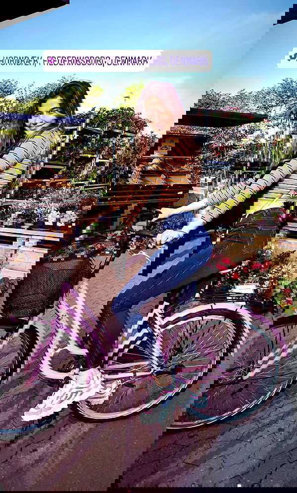 bakedsloths bakedsloths archive image