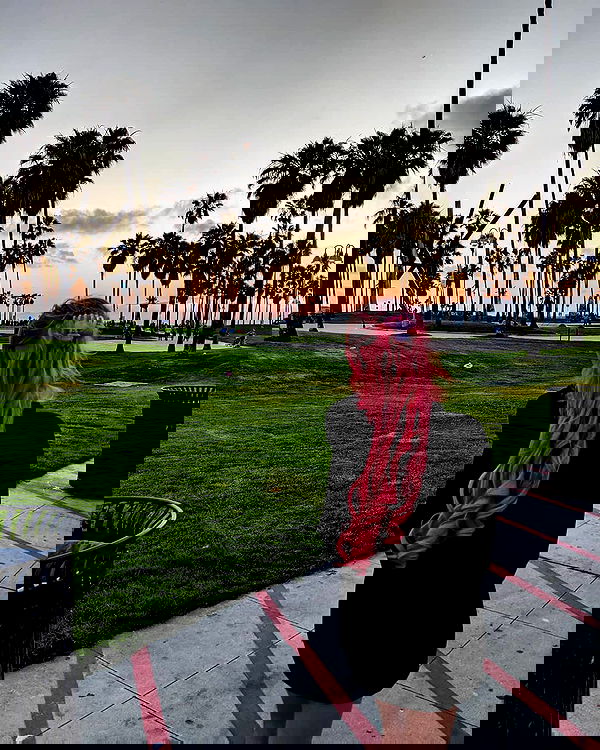 bakedsloths bakedsloths archive image