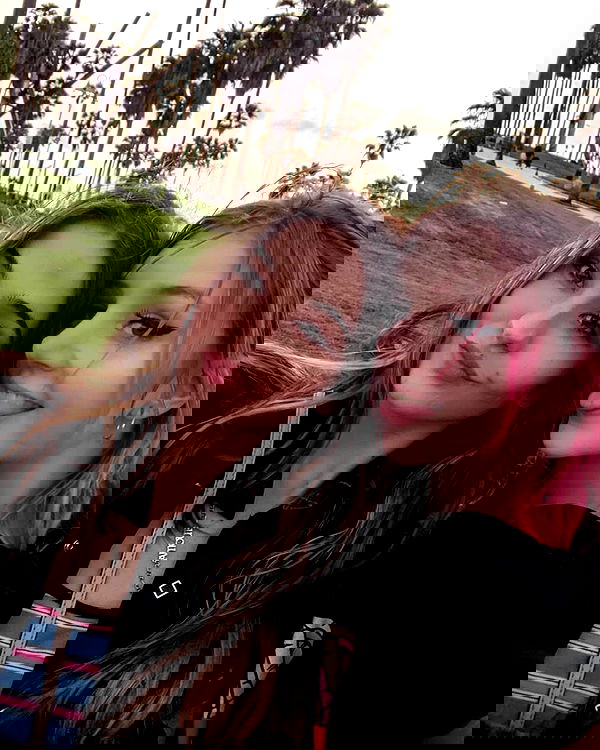 bakedsloths bakedsloths archive image