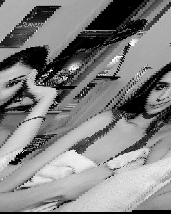 bakedsloths bakedsloths archive image