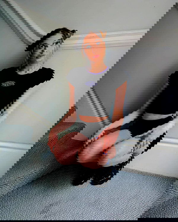 bakedsloths bakedsloths archive image