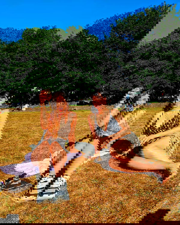 bakedsloths bakedsloths archive image