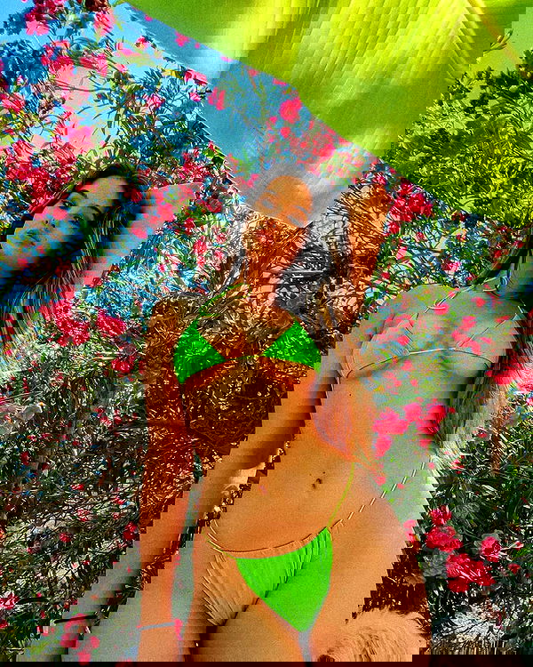 bakedsloths bakedsloths archive image