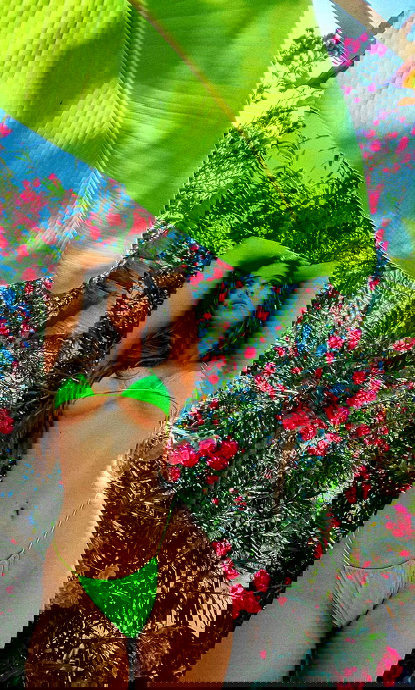 bakedsloths bakedsloths archive image