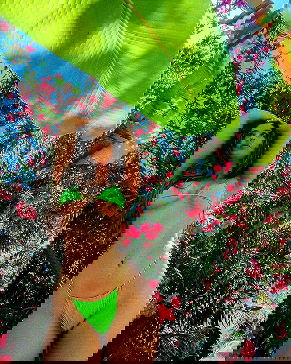 bakedsloths bakedsloths archive image