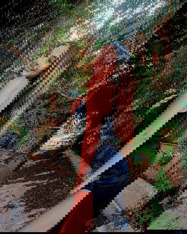 bakedsloths bakedsloths archive image