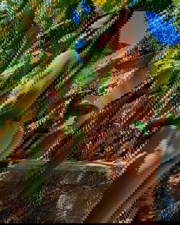 bakedsloths bakedsloths archive image