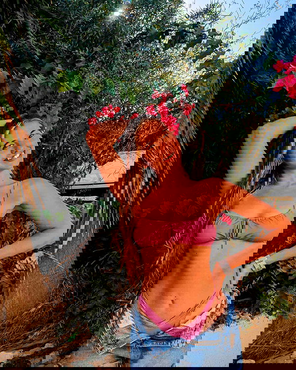 bakedsloths bakedsloths archive image