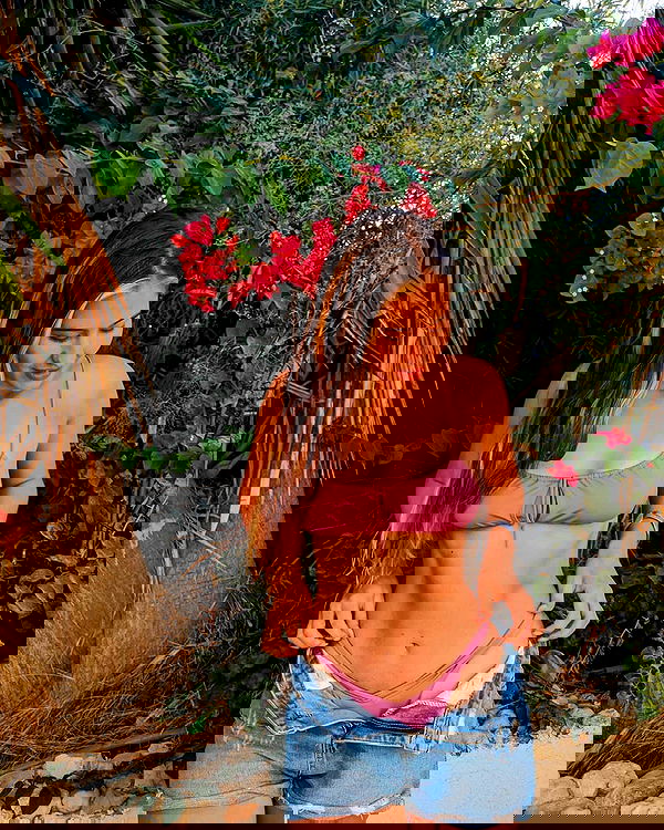 bakedsloths bakedsloths archive image