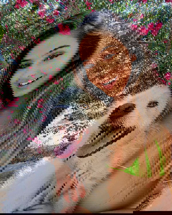 bakedsloths bakedsloths archive image