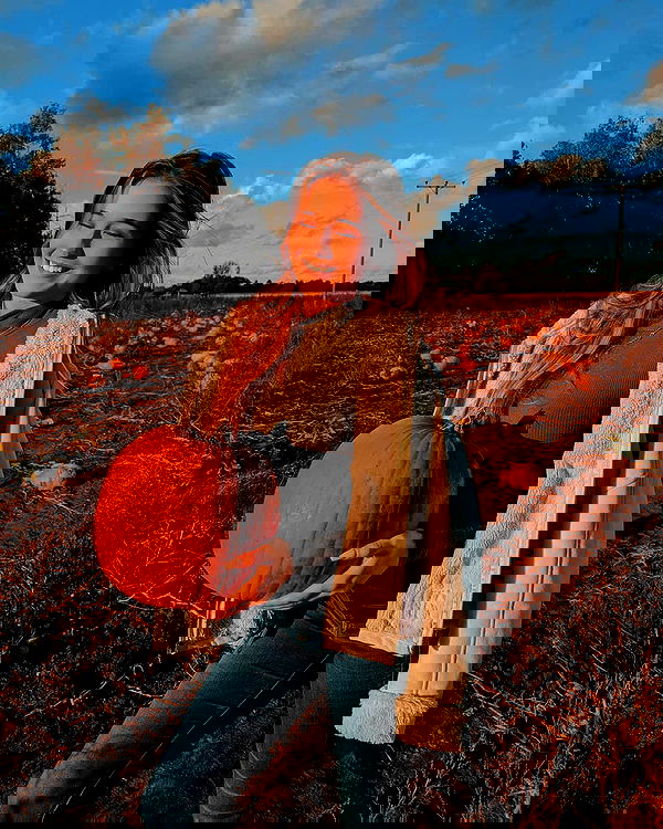 bakedsloths bakedsloths archive image