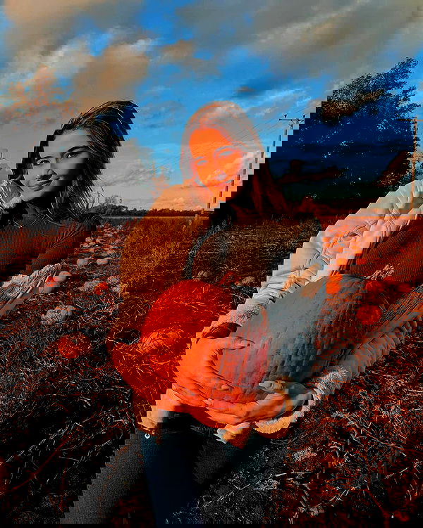 bakedsloths bakedsloths archive image