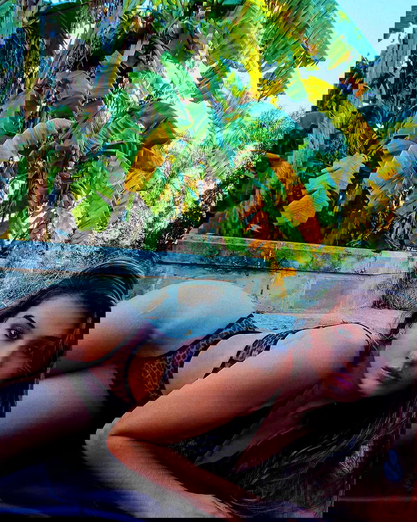 bakedsloths bakedsloths archive image