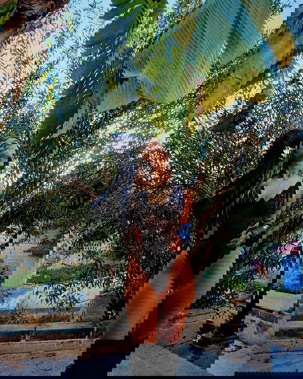 bakedsloths bakedsloths archive image