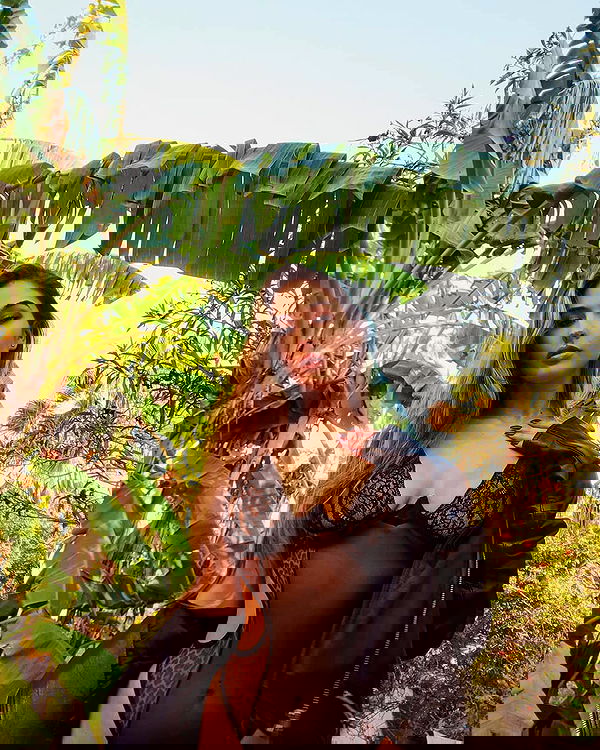 bakedsloths bakedsloths archive image