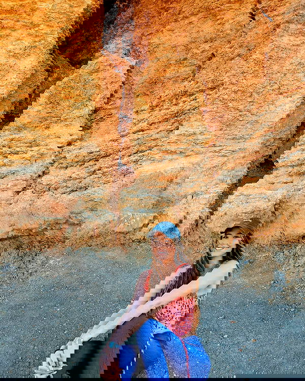 bakedsloths bakedsloths archive image