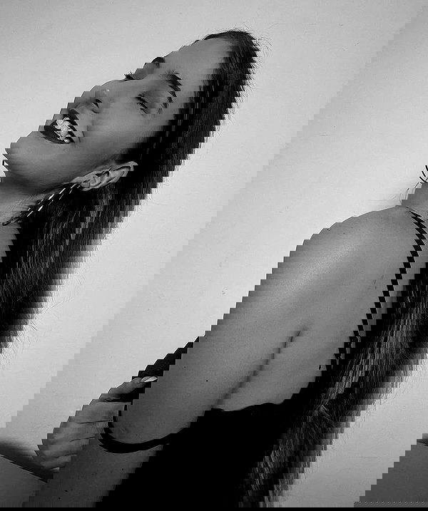 bakedsloths bakedsloths archive image