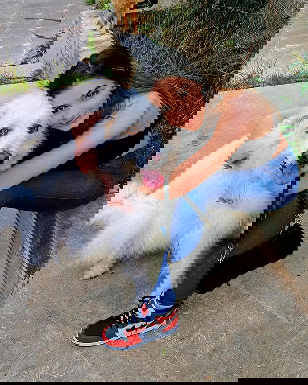 bakedsloths bakedsloths archive image