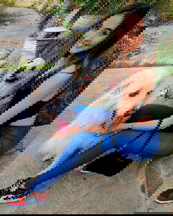 bakedsloths bakedsloths archive image