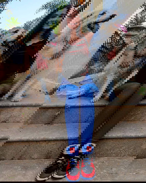 bakedsloths bakedsloths archive image