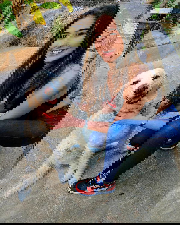 bakedsloths bakedsloths archive image