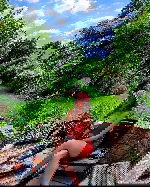 bakedsloths bakedsloths archive image