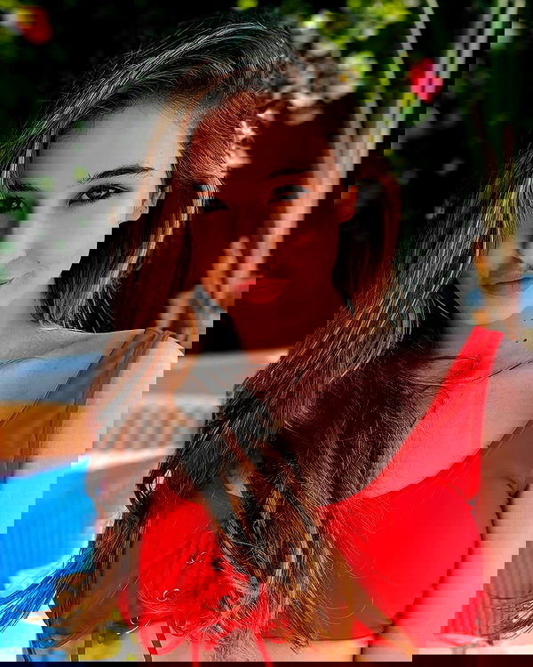 bakedsloths bakedsloths archive image