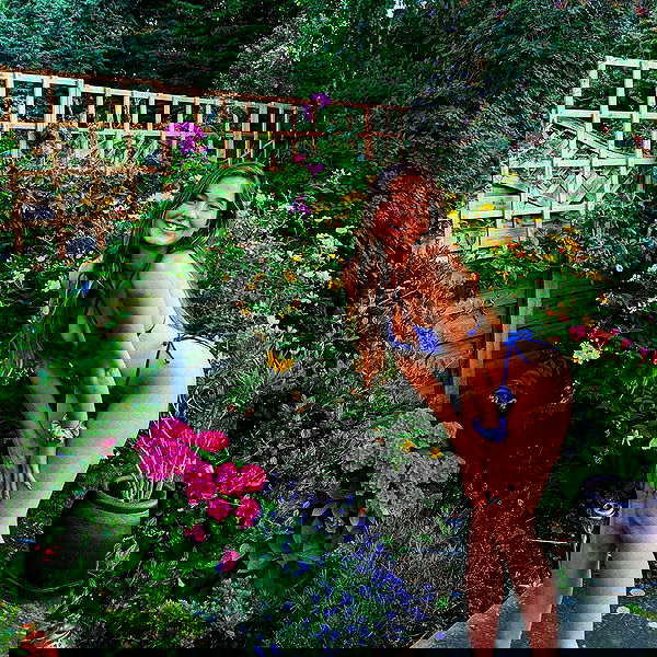 bakedsloths bakedsloths archive image