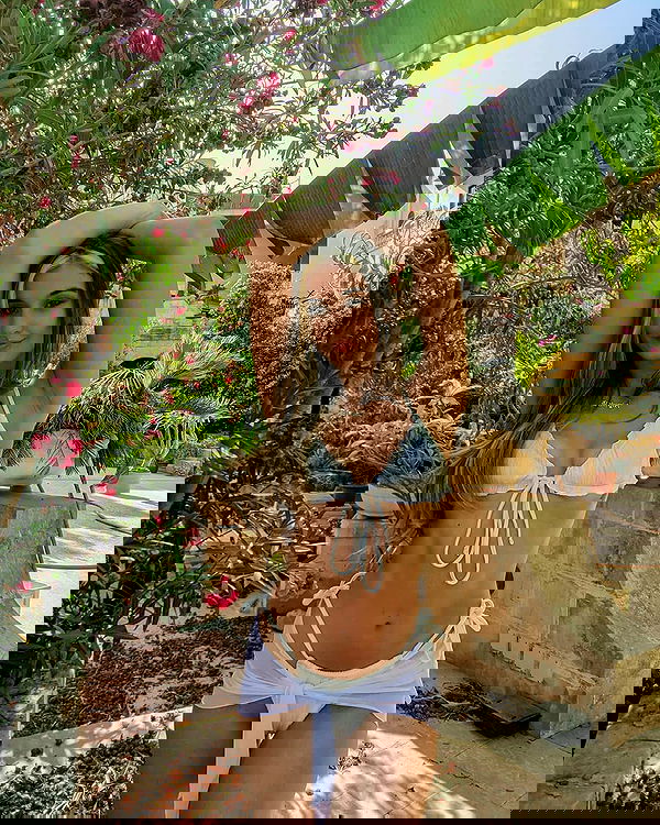 bakedsloths bakedsloths archive image