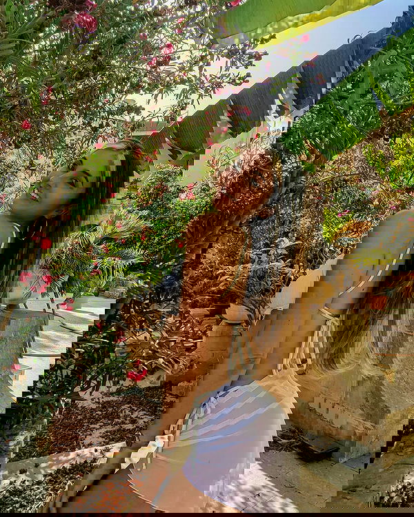 bakedsloths bakedsloths archive image