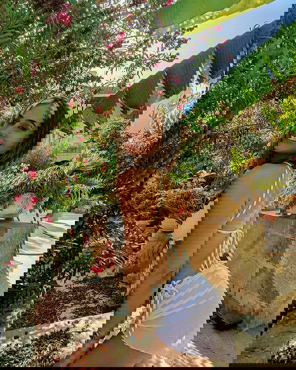 bakedsloths bakedsloths archive image