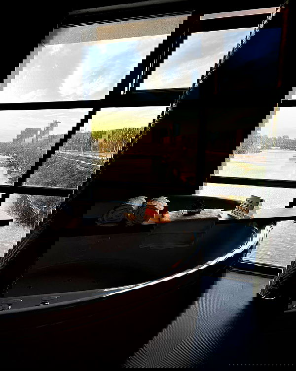 bakedsloths bakedsloths archive image